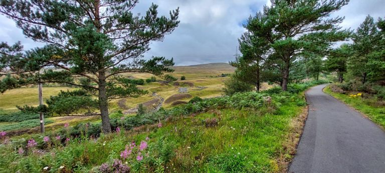 Little cottage in the centre of this photo of beauty.  Some sections of the cycle route were better than others, due to recent resurfacing: https://www.inverness-courier.co.uk/news/improvements-to-drumochter-pass-cycle-route-208906/