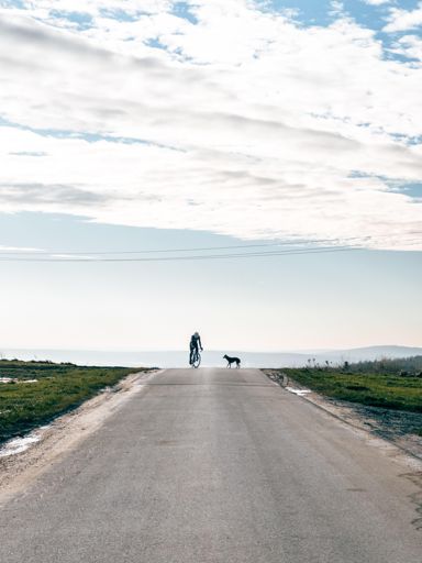 Ostatniego gryzie pies