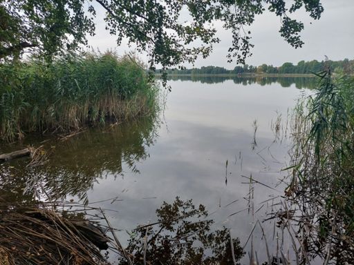 Jezioro Gołdap, na przeciwko molo z wczoraj