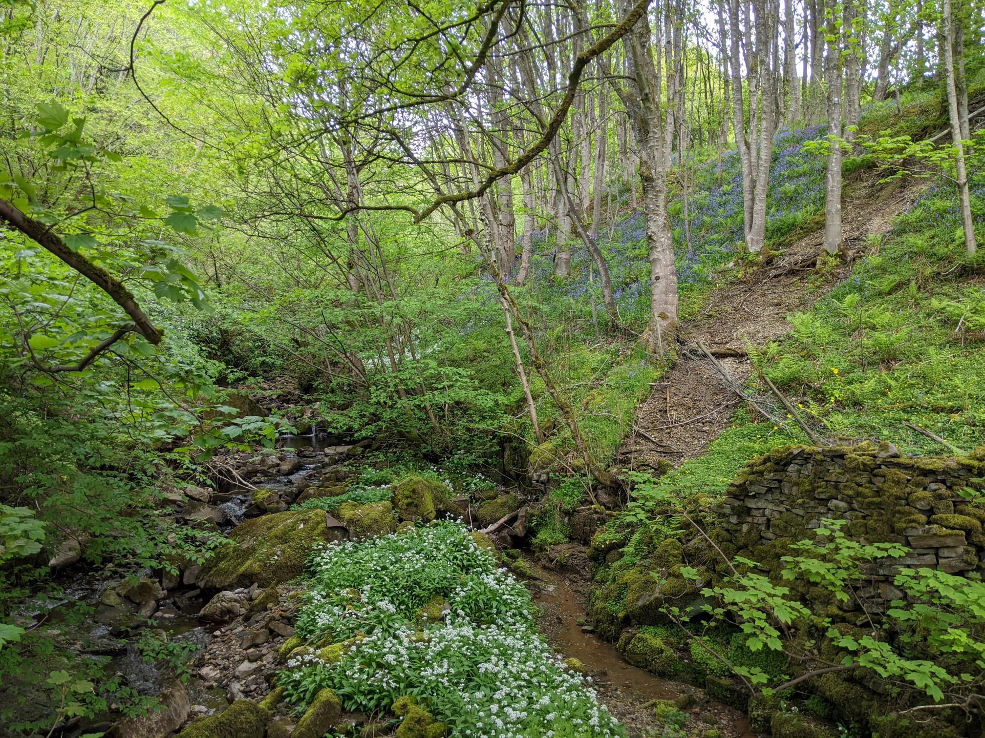 Herriot Way day 3 photo 9