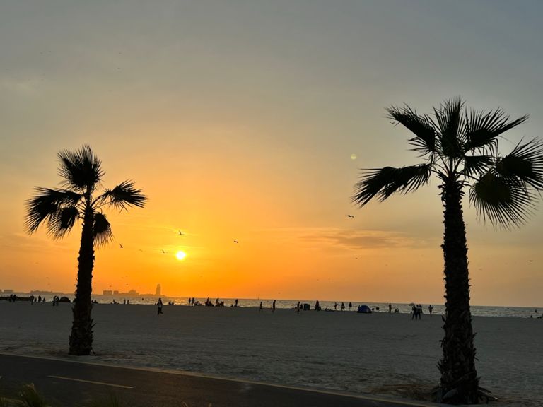 Kite Beach Dubai 9.9 mi Running Route on Strava