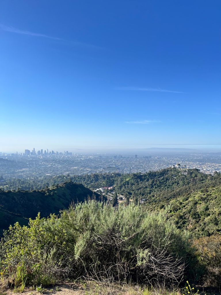 NBB run - Lake Hollywood photo 62