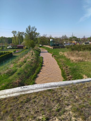 Poranna kawa z mlekiem?