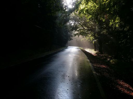 W Górach Bystrzyckich