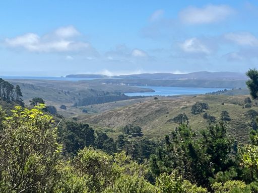 View of Pt. Reyes from Mt. Vision 👁️
