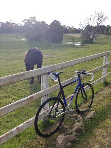 Does my butt look big ?