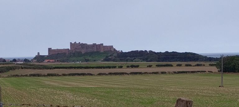 View of the east side of the castle from Ingram Lane between Bamburgh and Springhill.
