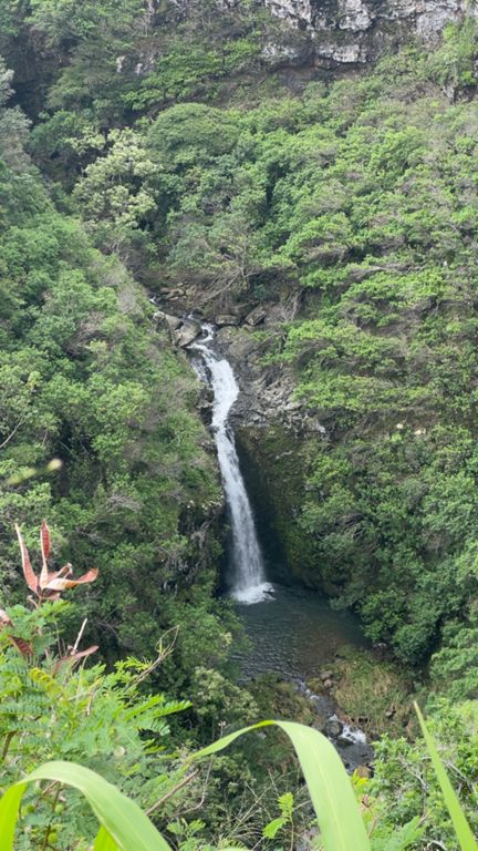 Sunny Day and Waterfalls