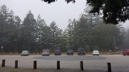 Cold, wet, and windy at Saratoga Gap so decided just to head back down