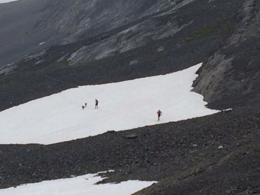 Devin and Mack running across one of the many glaciers we crossed