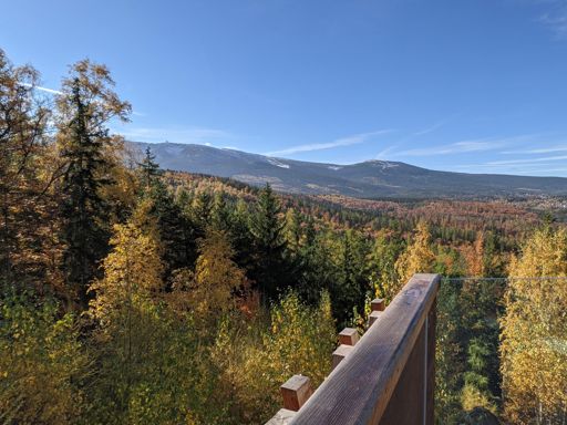 Złoty widok, Michałowice. Październik 2021.