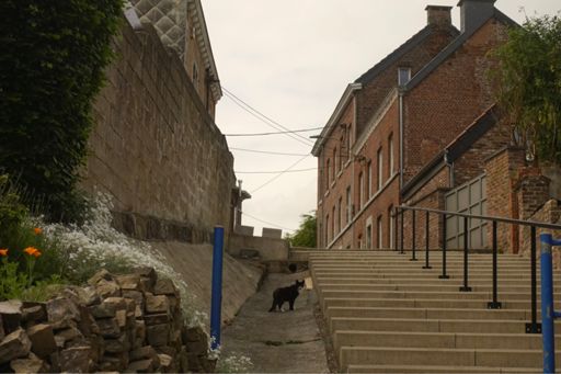 Vrienden maken is nog nooit zo moeilijk geweest.