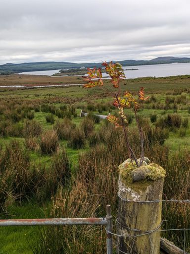 St Patrick's Purgatory in the distance
