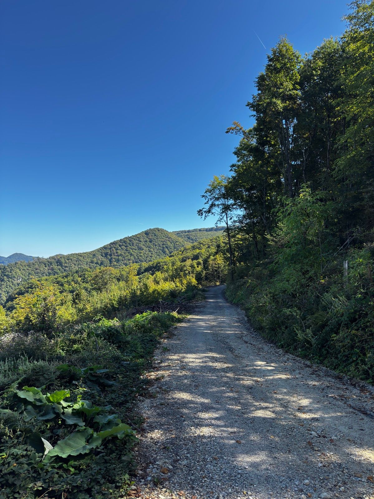Ride Image 5