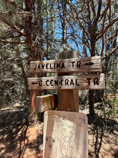 THIS was a nice shady spot :)