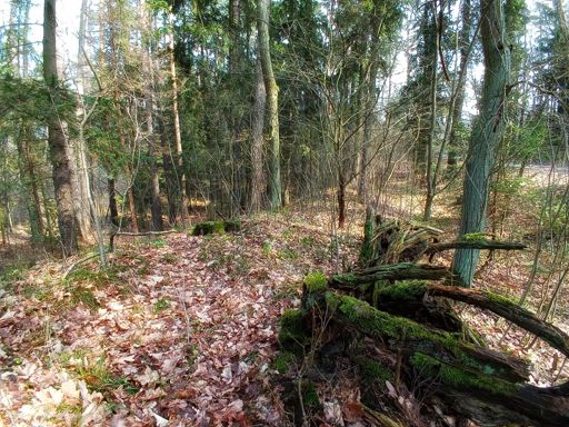 Pruskie wały graniczne..