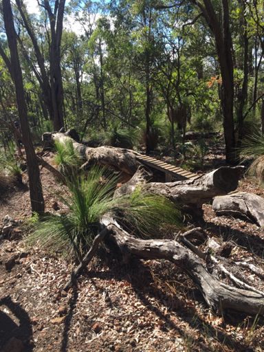 Any takers? Broken arm anyone?