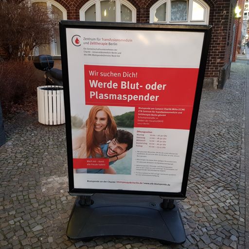 Bei den Vampiren 🧛‍♂️🧛‍♀️