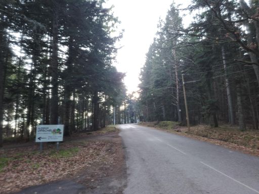 Soleil à partir d'Obschel (700m)