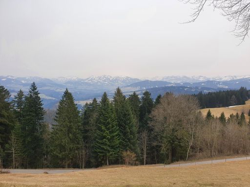Blick vom Pfänder auf den Bregenzerwald