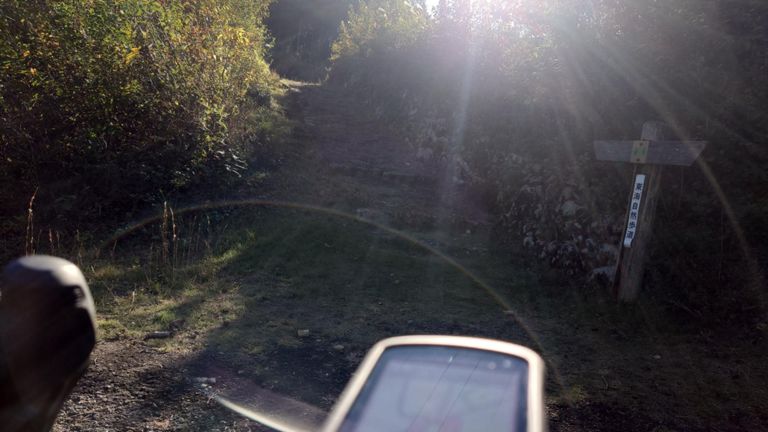 いつもは下りてくる階段、さすがに登れないので横の坂登ります。