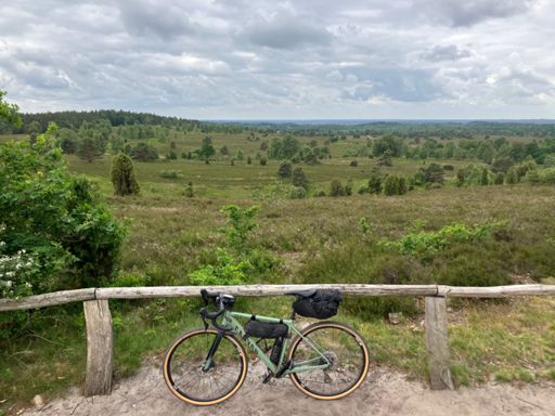 Wilseder Berg (mit 169m die höchste Erhebung im Nordwestdeutschen Tiefland)