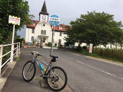 ぶどう畑が広かった