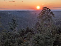 Cherpierre Arcades Vohné