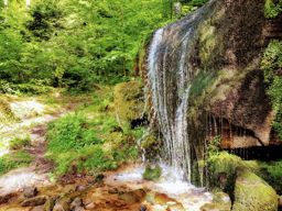 Balade dans l’Ormont