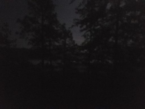 Middle of the woods full moon visibility.