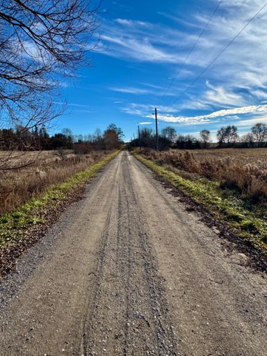 Bit of dirt thrown in for good measure 