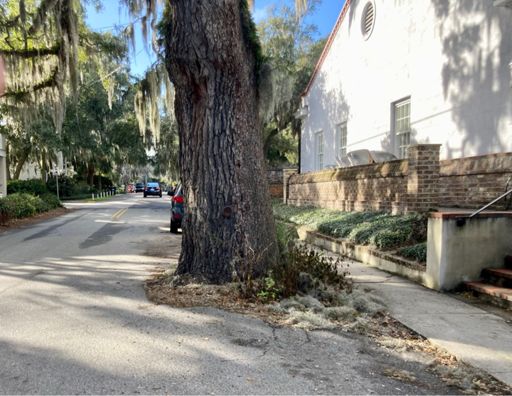 Road trees everywhere, me like