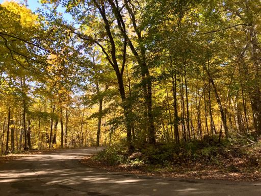 Wapsi State Park loop is a golden tunnel of awesomeness