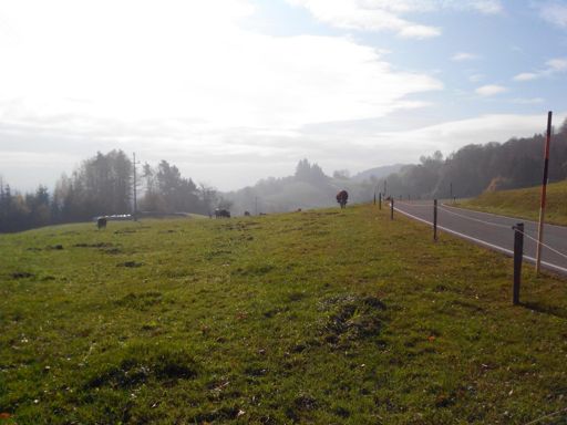 oberhalb von Sallneck