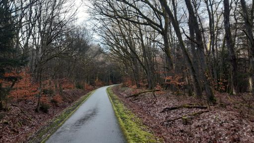 Nasser Schinderhannesradweg.