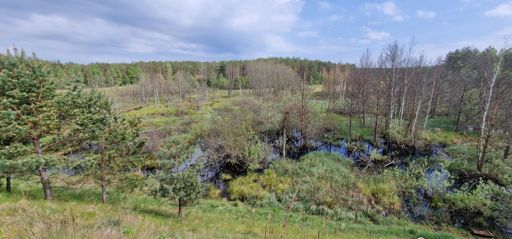 Cudze chwalicie, swego nie znacie.