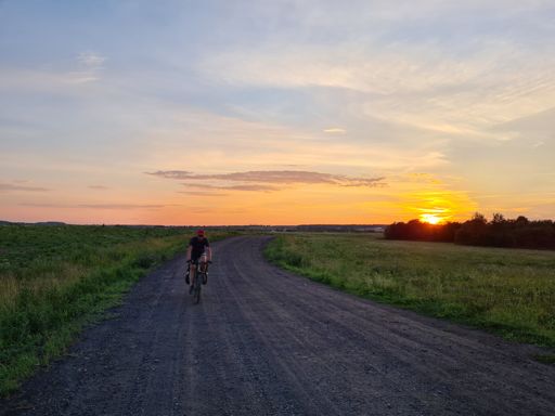 Вечер 8 июля. Вблизи Красной Рощи.