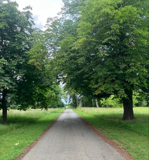 The lesser seen Eythrope Park (they opened up the road just for today)