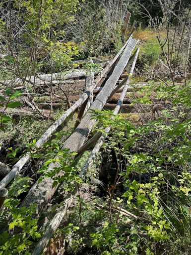 Janky bridge over not so troubled waters. Had to cross on the *outside* of the bridge railing while carrying bike 😬