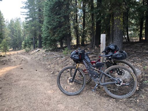 Headed to the spring!