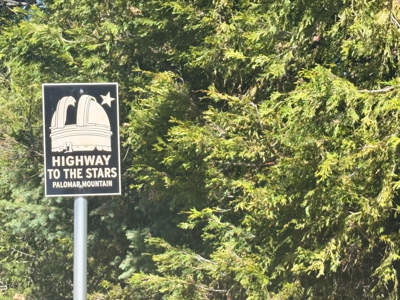 This is the longest and most popular bike climb in San Diego County.