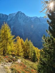 Pointe de Vouasson par le lac bleu et le glacier. Retour par le mont de l’étoile
