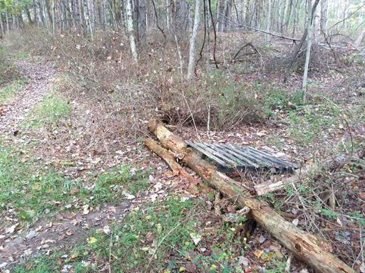 I love this little jump on rollercoaster