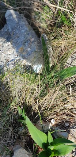 Ganz versteckt die blauen Punkte als Wegmarkierung