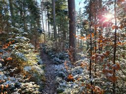 Grand Rommrlstein mit Mutti