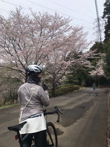 風土記の丘はまだまだこれから…🌸✨