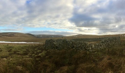Old sheep-pen at the Granites, looking south to Blackhope Scar