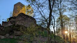 Châteaux de Saverne au soleil couchant