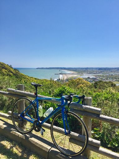 太東埼灯台から。南側