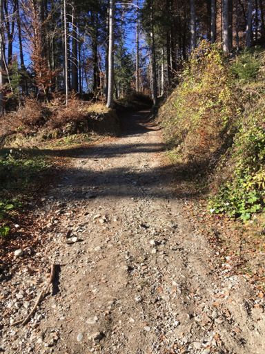 Zum dritten mal versucht hier hoch zu kommen, zum ersten mal ohne absteigen geschafft 😌 
Beim Rosnerweg links hoch richtung Enzianhütte / Rumer Alm.